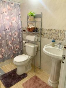 a bathroom with a toilet and a sink at Cozy Villa in Mammee Bay