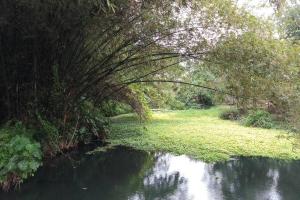 Paesaggio naturale nelle vicinanze della stanza in casa privata