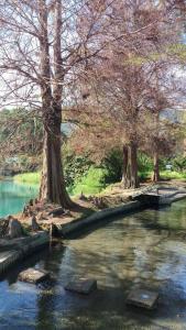 Paesaggio naturale nelle vicinanze della stanza in casa privata