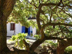Giardino di BlueMoon Studio on the Beach!