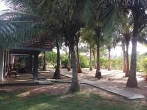 Zahrada ubytování Villa Nilaveli Cabana