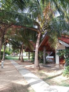 Zahrada ubytování Villa Nilaveli Cabana