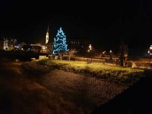 Ferienwohnung Leuchtturm 29a في غوين: شجرة عيد الميلاد زرقاء على حقل في الليل