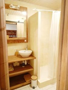 y baño con lavabo y ducha. en Gîte Cœur de Haute-Savoie en Viuz-en-Sallaz