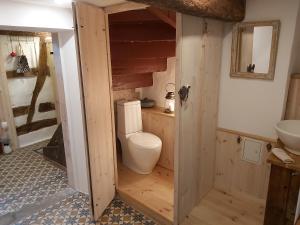 a bathroom with a toilet and a sink at Charmanter Fachwerktraum an der Stadtmauer in Stromberg