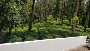 蒙纳Munnar Tea Estate Bungalow的森林里有一道白色的栅栏，周围环绕着树木。