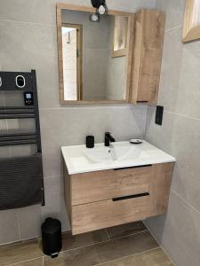 een badkamer met een wastafel en een spiegel bij LE REFUGE LES 2 ALPES 1800 in Les Deux Alpes