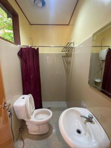 a bathroom with a toilet and a sink at Fabregas Beach Cottages in El Nido