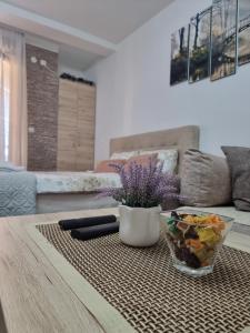 uma sala de estar com uma mesa com um vaso de flores em Apartman Temida Lux em Vrnjačka Banja