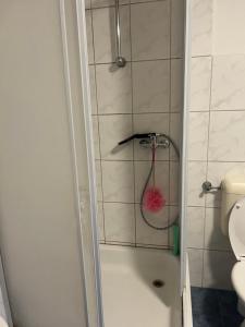 a bathroom with a shower with a pink ball at Siegen Achenbach 3 in Siegen