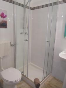 a bathroom with a shower with a toilet and a sink at Apartamento Neptuno in Benagil