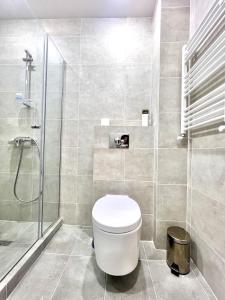 La salle de bains est pourvue d'une douche et de toilettes. dans l'établissement leselidze apartament, à Tbilissi