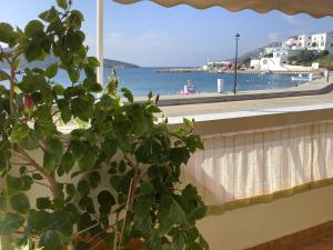 a plant in front of a window with a view of the ocean at Studios Akrogialli in Lipsoi