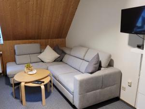ein Wohnzimmer mit einem Sofa und einem Tisch in der Unterkunft Pension Waldblick in Grillenberg