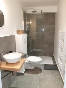 ein Bad mit einem WC, einem Waschbecken und einer Dusche in der Unterkunft Studio Venaco Centre Corse in Venaco