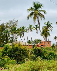 um grupo de palmeiras em frente a um edifício em CDAC Elijah - Espace Culturel em Ouidah