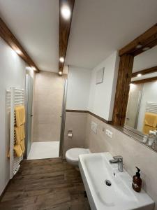 a bathroom with a sink and a toilet and a shower at Gasthof Zum Ott in Staudach-Egerndach