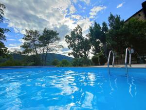 een zwembad met blauw water en bomen bij Le Mas du Galibot Gîte Barulaïre in Saint-Florent-sur-Auzonnet