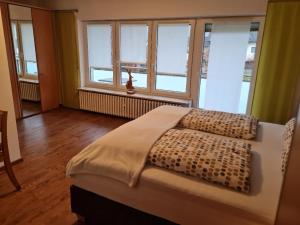 a bedroom with a bed with two pillows and windows at Gästehaus Lehr in Kinding