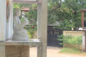 A garden outside Mango Tree House