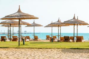 艾因蘇赫納的住宿－Coral Sea Beach and Aqua Park，海滩上的一组椅子和遮阳伞