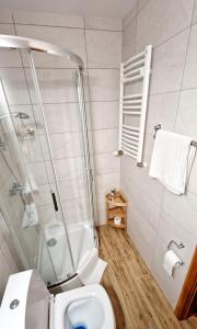 W łazience znajduje się prysznic, toaleta i umywalka. w obiekcie Willa 1910 w mieście Karpacz
