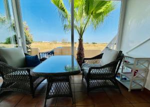 een patio met een tafel en stoelen en een palmboom bij Casa Nuez Moscada in Villamartin