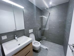 uma casa de banho com um lavatório, um WC e um chuveiro em Schlossappartement Rapperswil em Rapperswil-Jona