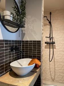 een badkamer met een wastafel en een douche bij De Zuileshoeve in Dordrecht