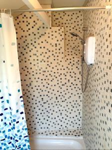 Bracken's Retreat في لوستويزيل: حمام مع دش مع مرحاض ومغسلة