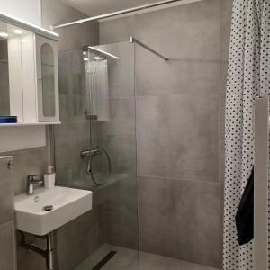 a bathroom with a shower and a sink at App 342 gemütlich und mit Weitblick in Braunlage