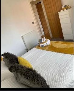 a bedroom with a bed with a cat laying on it at HU1 Stylish Cozy Central Apartment WIFI H3 in Hull