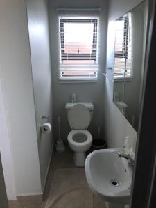 a bathroom with a toilet and a sink and a window at Apartment Ozone in Herolds Bay +20 photos