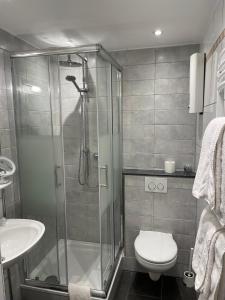 a bathroom with a shower and a toilet and a sink at Apartmenthaus Sonnen in Düsseldorf