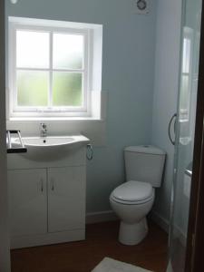 a bathroom with a toilet and a sink and a window at The Signal Box (Cliburn) in Penrith