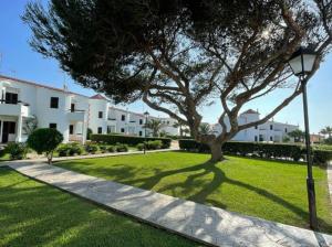 a tree in the middle of a lawn with a street light at Apartamentos Mar a mar in Cala en Forcat
