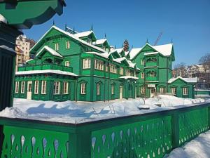 een groot groen huis met sneeuw erop bij WISŁA Cechini in Krynica Zdrój
