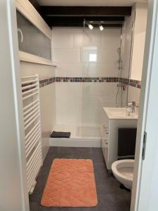 een badkamer met een douche, een wastafel en een toilet bij Ferienwohnung Atelier in Siegsdorf