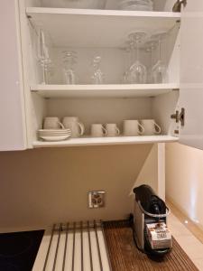 a kitchen shelf with dishes and a toaster on it at Giardino Violetta in Lugano