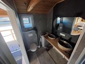 a bathroom with a sink and a mirror at Tiny House Flensburg Luv in Hornholz