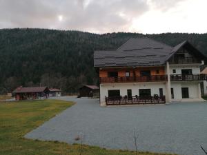 a house with a large driveway in front of it at Pensiunea Armonia Albac in Albac