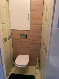 een kleine badkamer met een toilet en een wastafel bij LUX APARTAMENT in Giżycko