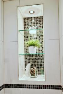 lustro w łazience z doniczką w obiekcie Apartment Giuliano Vienna w Wiedniu +31 zdjęć
