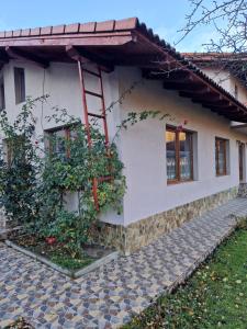 a house with a ladder on the side of it at Casa Jan Bonca in Lorău