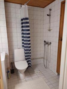 a bathroom with a toilet and a shower at Kauppala in Soini