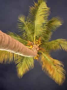 Fotografie z fotogalerie ubytování LE FLAMBOYANT VUE LAGON v destinaci Marigot