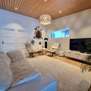 ein Wohnzimmer mit einem Sofa und einem Flachbild-TV in der Unterkunft Gorgeous Arctic Lodge in Rovaniemi
