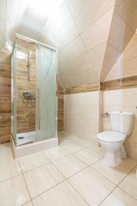ザコパネにあるApartamenty Gawlaki Zakopaneのバスルーム(トイレ、ガラス張りのシャワー付)