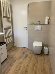 a bathroom with a white toilet in a room at Wehr Orchidee Apartment in Wehr