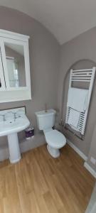 a bathroom with a toilet and a sink and a mirror at Country Mansion - Private Annexe in Llanwrda